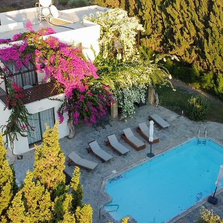 Banana Sunset Villas بافوس المظهر الخارجي الصورة
