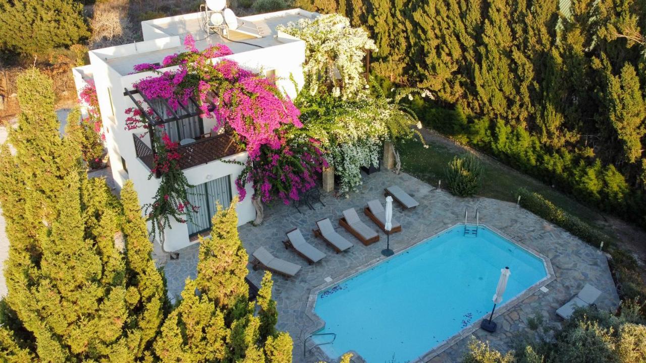Banana Sunset Villas بافوس المظهر الخارجي الصورة