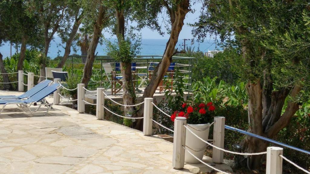 Banana Sunset Villas بافوس المظهر الخارجي الصورة