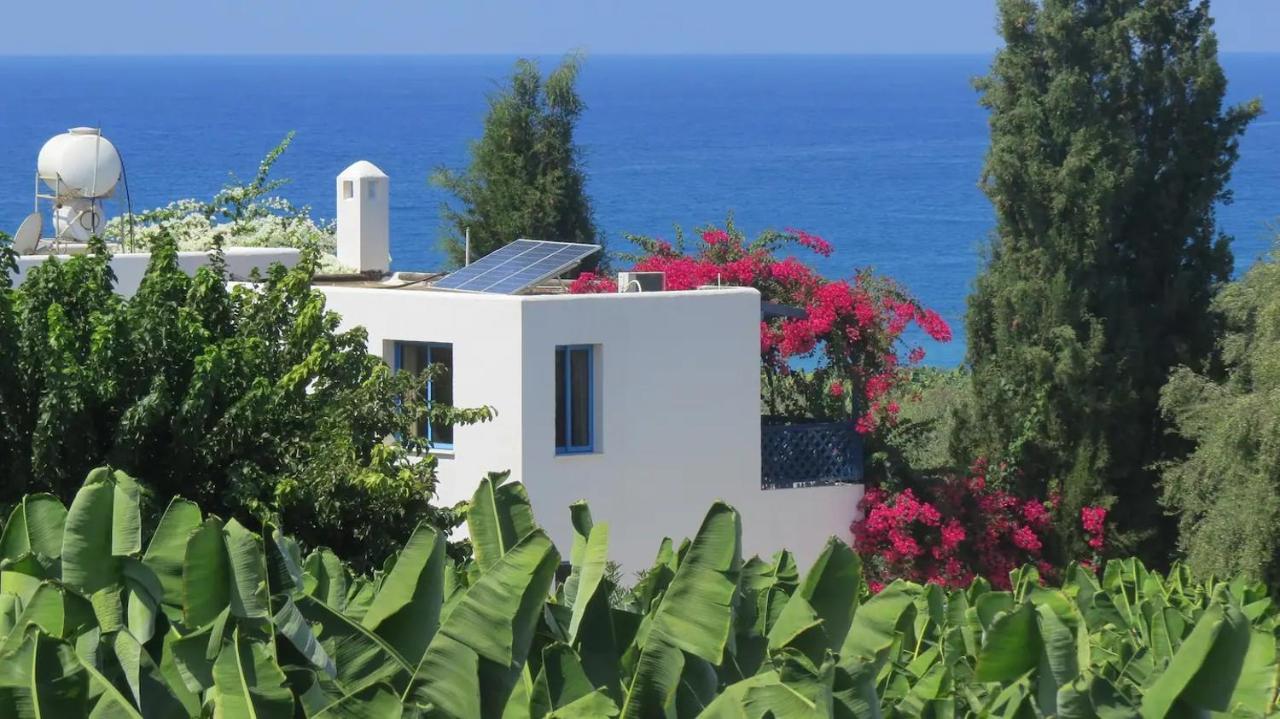 Banana Sunset Villas بافوس المظهر الخارجي الصورة