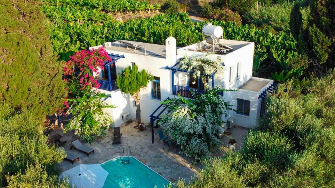 Banana Sunset Villas بافوس المظهر الخارجي الصورة
