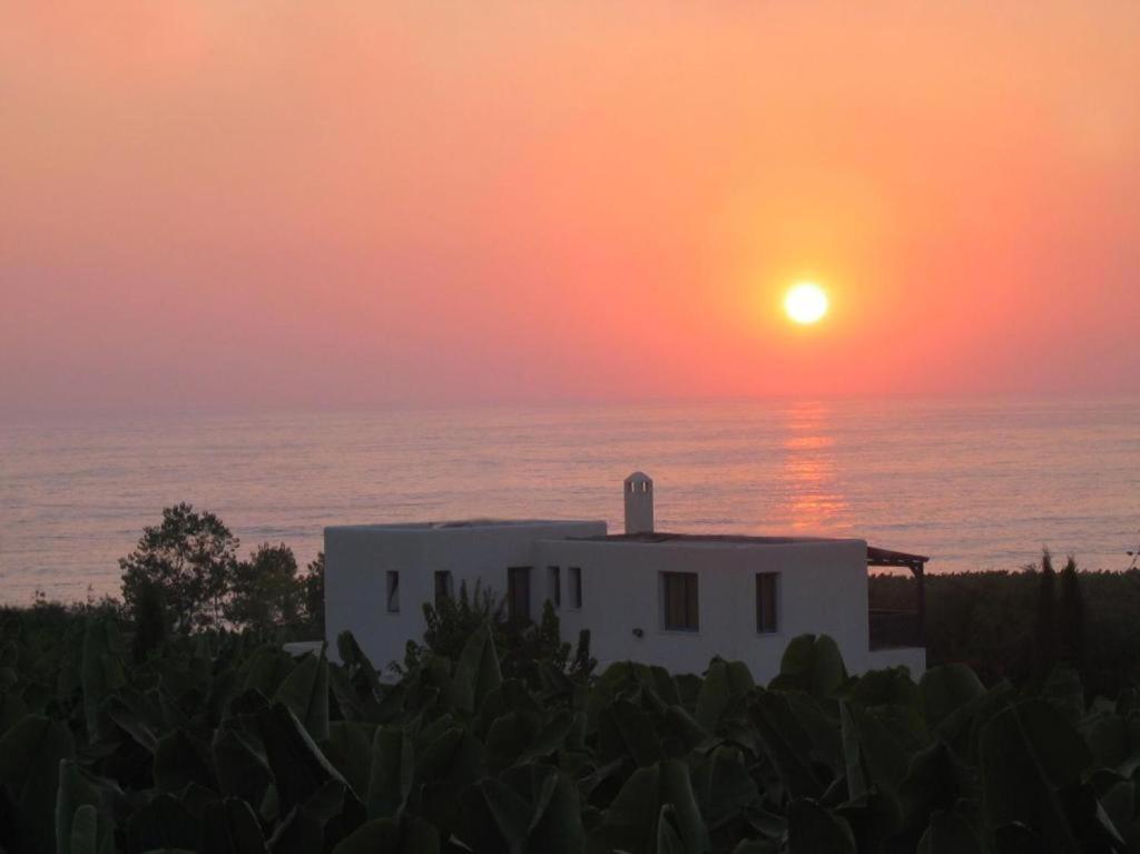 Banana Sunset Villas بافوس المظهر الخارجي الصورة