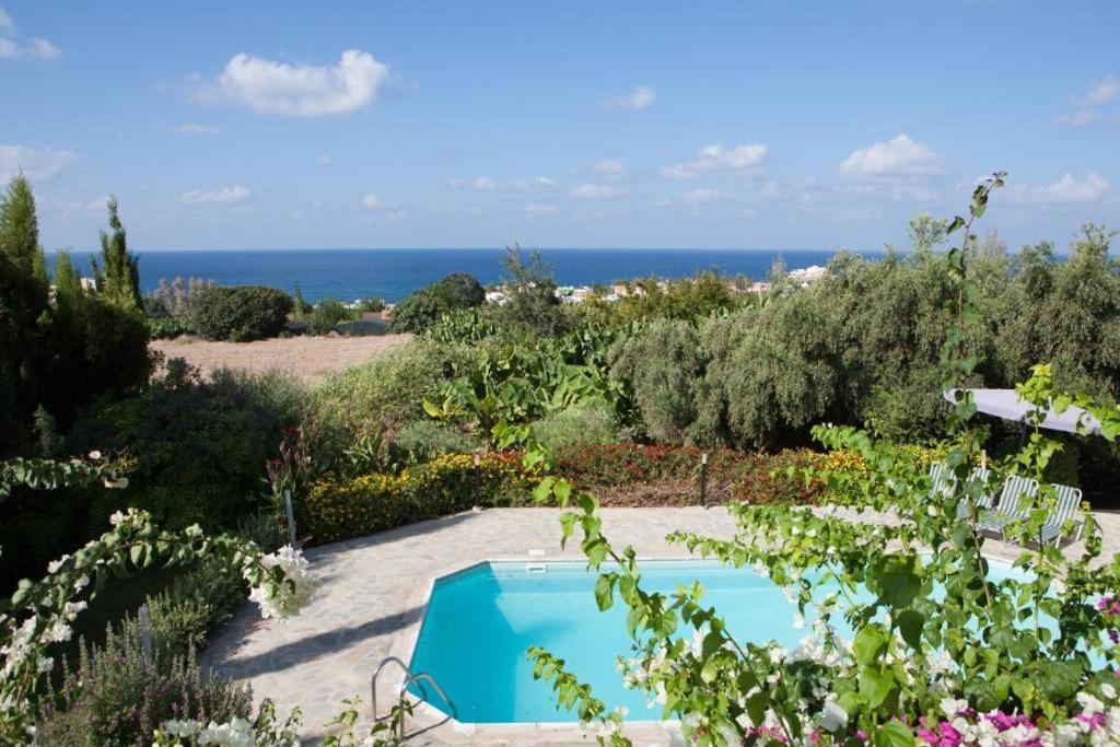 Banana Sunset Villas بافوس المظهر الخارجي الصورة